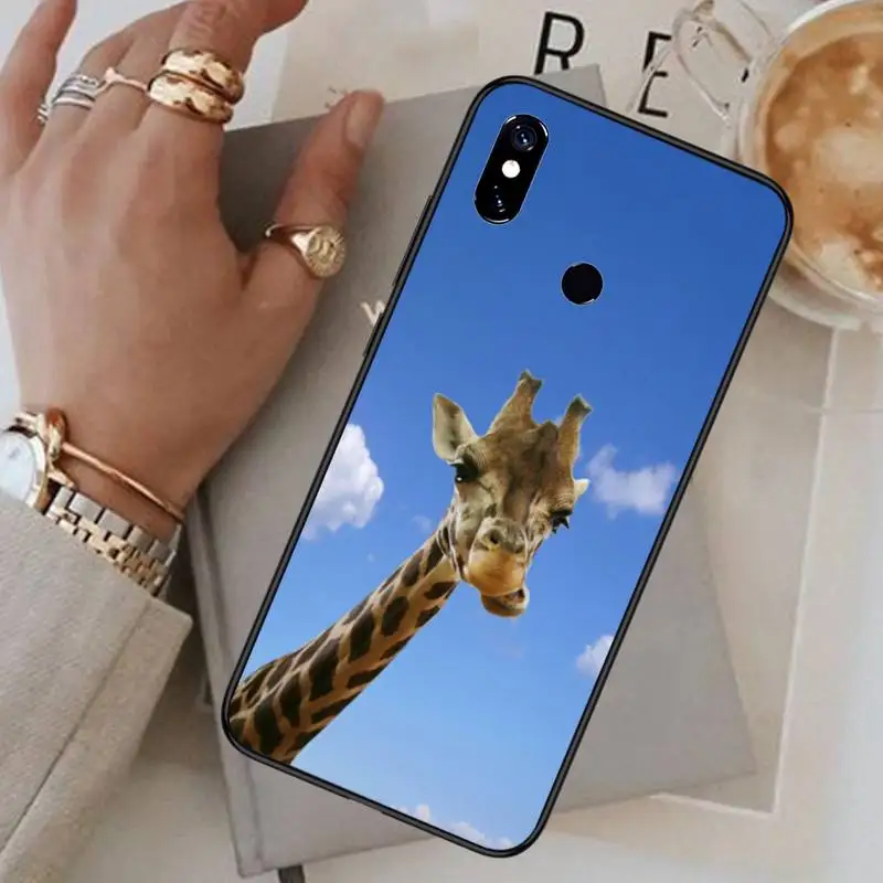 

Giraffe funny funny blue sky grass Phone Case For Xiaomi Redmi 7 8 9t a3Pro 9se k20 mi8 max3 lite 9 note 9s 10 pro