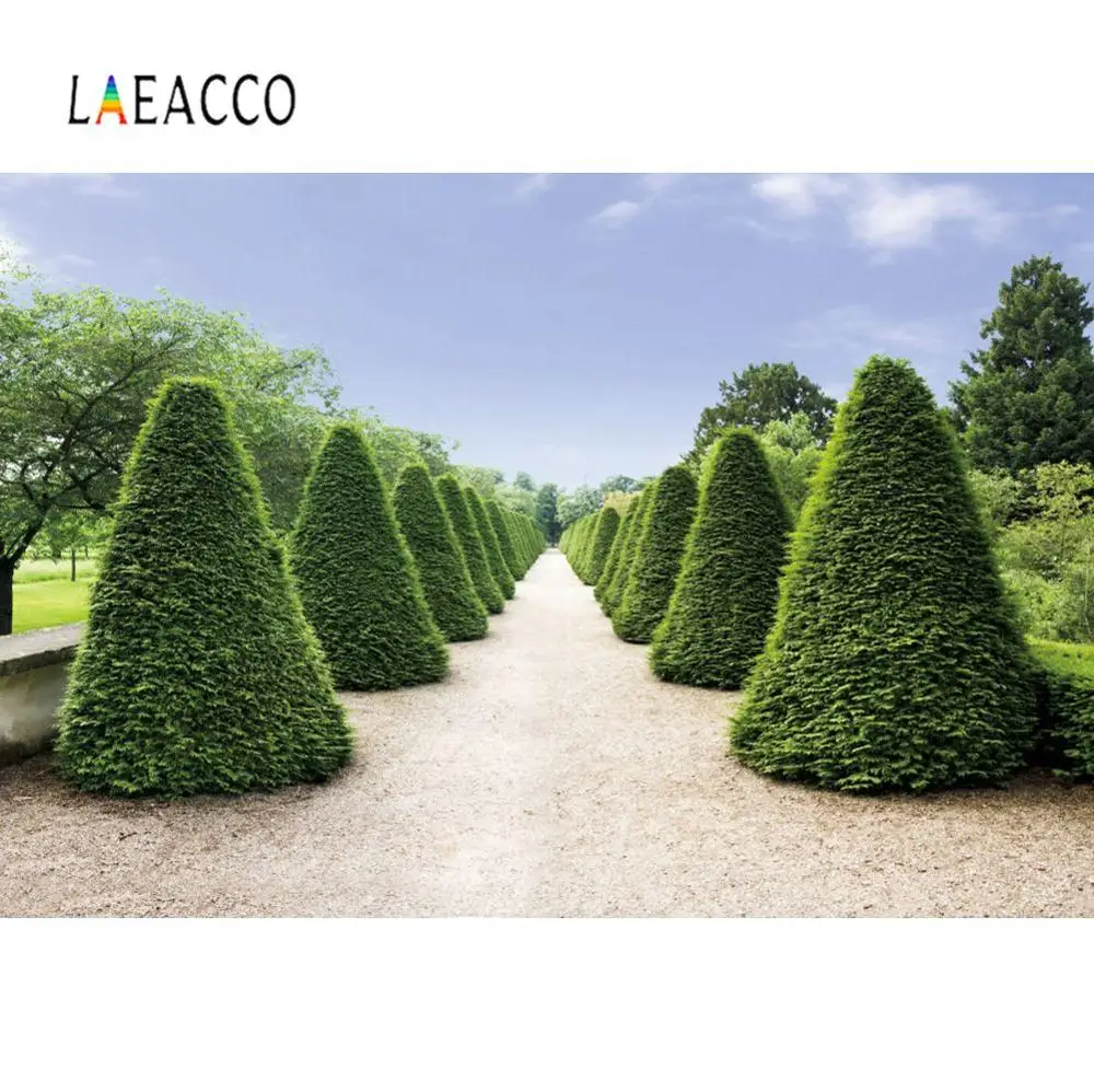 Фон для фотосъемки Laeacco с зеленым конусом деревьев тропинкой голубым небом|Фон