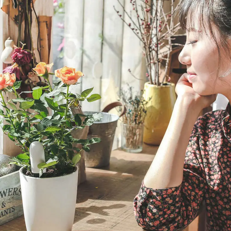 

Original Xiaomi Mi Flora Monitor International Version Digital Plants Grass Flower Care Soil Water Light Smart Tester Sensor