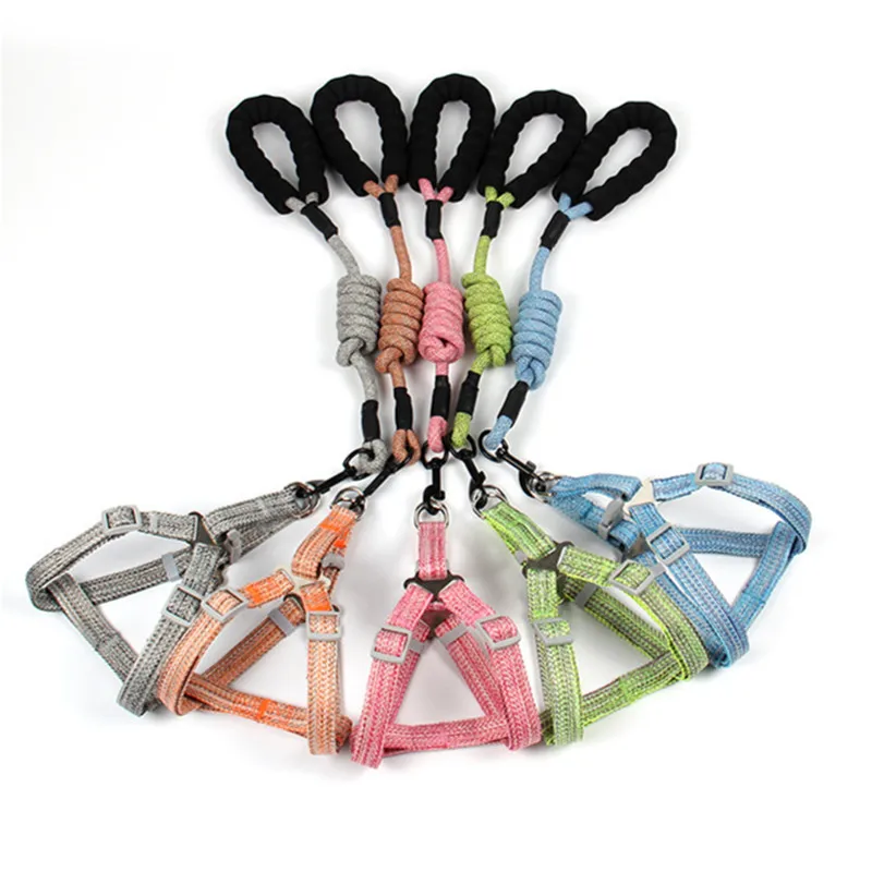 

Pet Dog Harness Leash 2021 Fashion Traction Rope for Puppy Cat Nylon Adjustable Soft Vest Leads Chien Doggy Outdoor Accessories