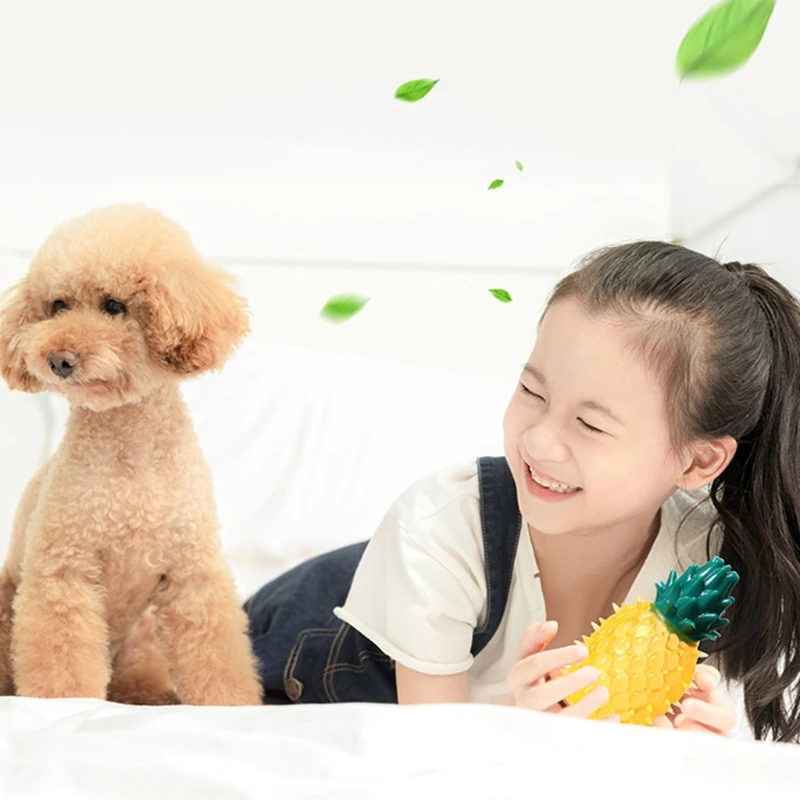 

P15D Medium Squeaker Ball Dog Toys Pet Molar Ball Fruit Shaped Environmental Protection Material Squeaker Toys