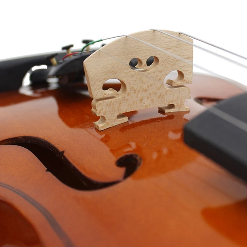 

1/8 Size Student Violin with Lightweight Case, Wood Bow, Rosin and Cleaning Cloth