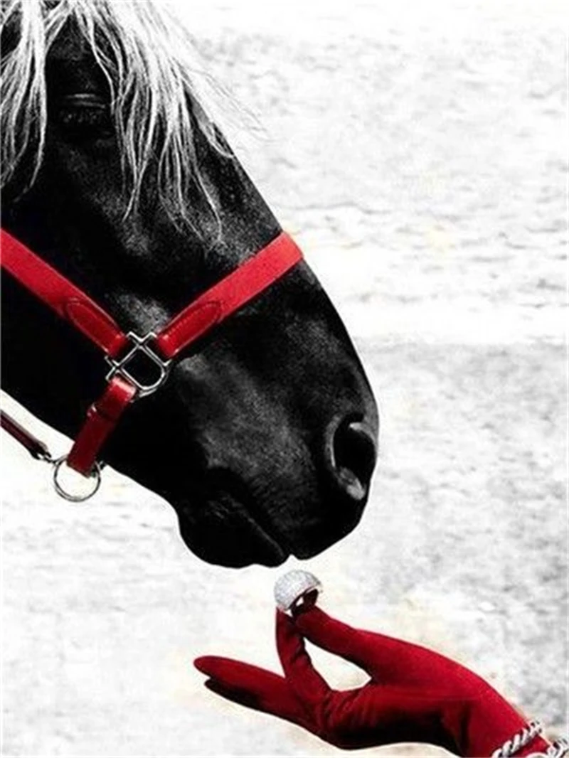 

Набор масляных цифровых красок по номерам № 2085, 40x50 см, без рамки, для самостоятельной сборки, наборы абстрактных акриловых красок для взрос...