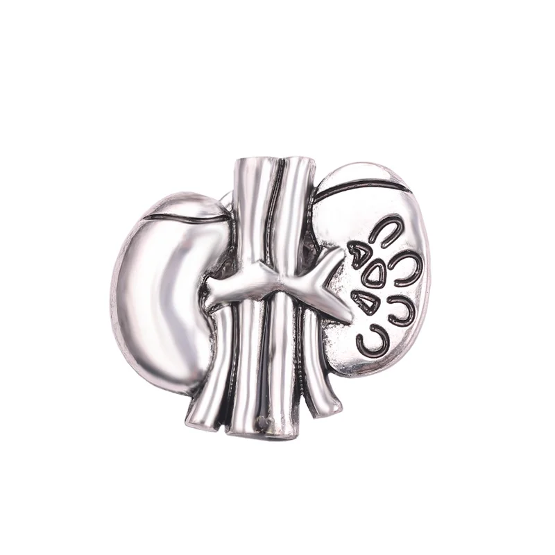 Медицинская анатомия винтажные броши в виде почек медицинская бижутерия