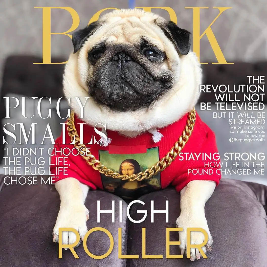 WoofwhiteTrendy бренд права боевых действий для домашних животных модный распродажа