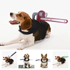 Хэллоуин собачья шлейка для животных шлейка для собаки кошка пехера Одежда Костюм Щенка страшная Новинка смешной Косплей