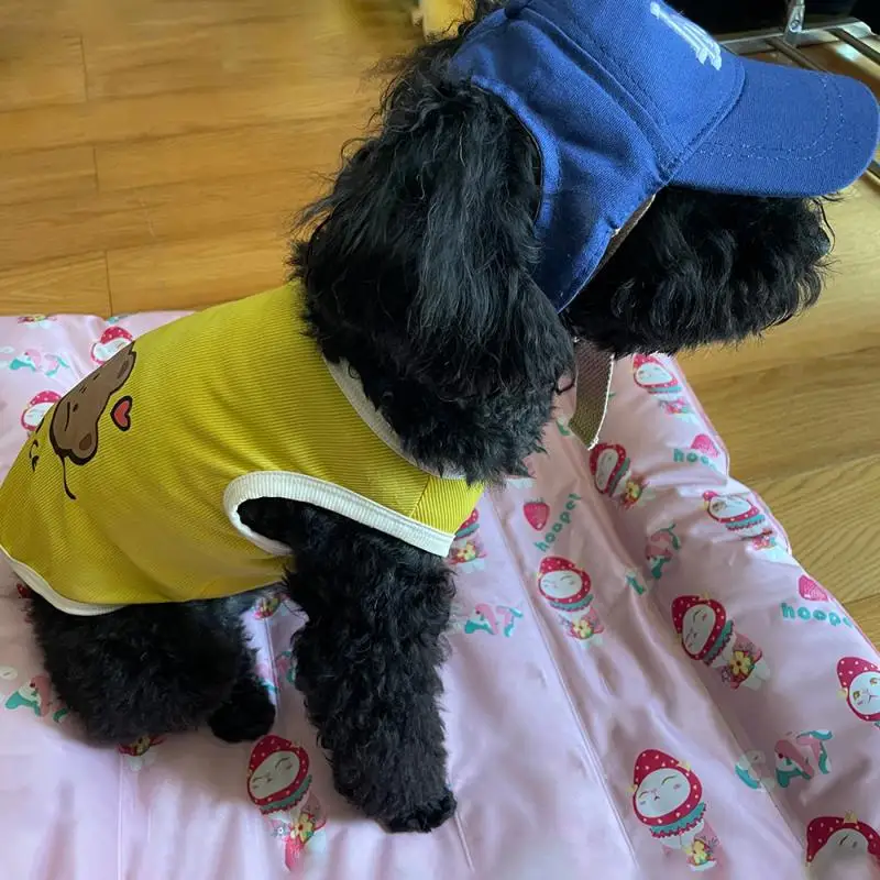 

Portable Travel Pet Dog Hat Summer Sunshade Cap Mini Windproof Retractable Teddy Sun Hat Outdoor Cute Pet Street Shot Headdress