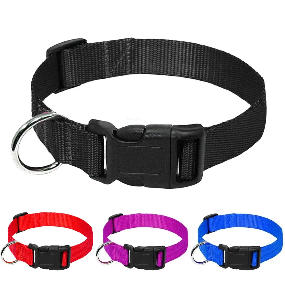 

Dog Collars Premium Nylon Pet Cat Dog Collar Adjustable Dog Collars for Chihuahua French Bulldog Pitbull Labrador Pet Products