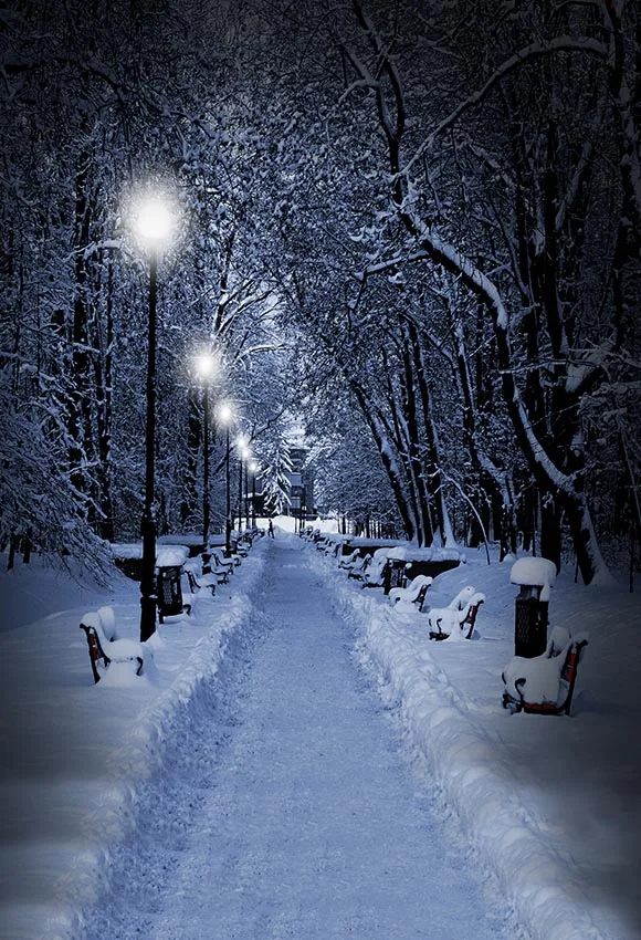 

Snow road forest photo background vinyl fotografia vlog photography backdrops for photo studio props scenic photophone lv-2592