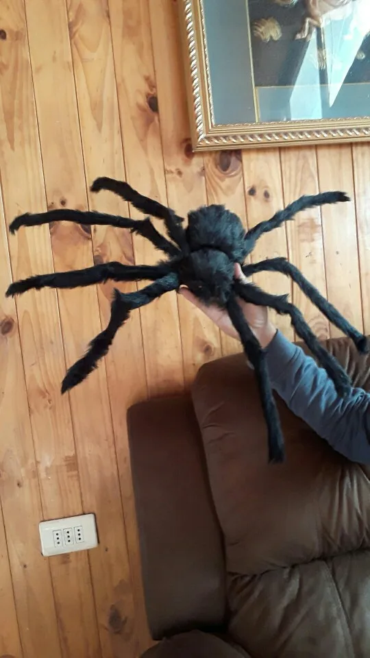 

30cm/75cm Large Size Plush Spider made of wire and plush Costume Cosplay Black/Colorful Funny Toy decoration for halloween party