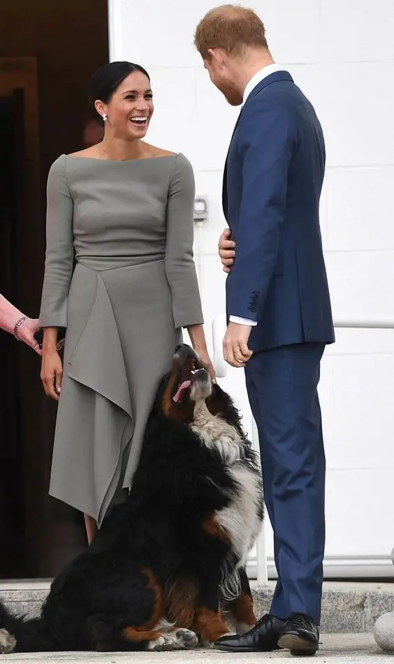 Серое платье для матери невесты свадебное длиной ниже колена 2021 стильные женские