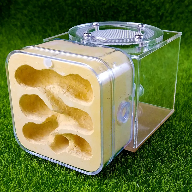 Мини штукатурка Муравьиное Гнездо Акриловые муравьи фермы Дети DIY Развивающие игрушки животные муравьи клетки насекомых дети подарки на день рождения антиловый дом(м