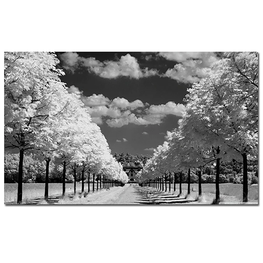 Алмазная живопись сделай сам черно белая уличная 5D Вышивка крестиком мозаика