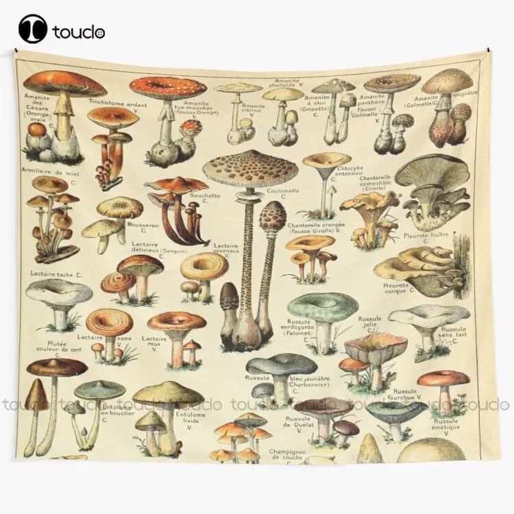 

New Mushrooms Tapestry Rapper Tapestry Tapestry Wall Hanging For Living Room Bedroom Dorm Room Home Decor Background Wall