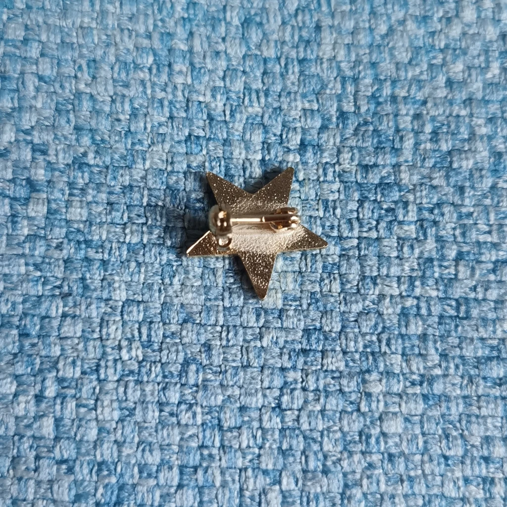 25th Year Of Eastern Star Logo Masonic Mason Lapel Pin Badge |