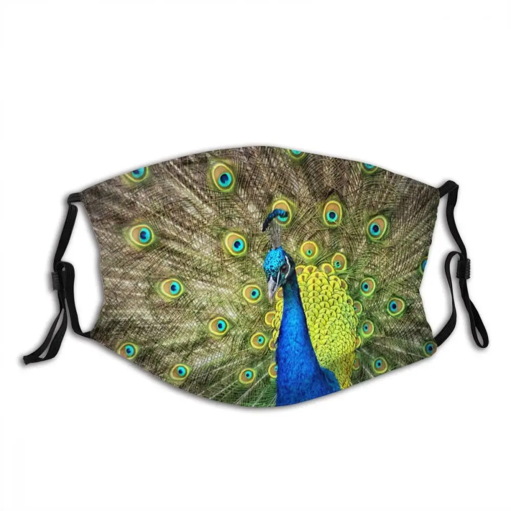 

Peacock Animal Reusable Printed Mouth Face Mask with Filters Anti Haze Dust Proof Earloop Protection Cover Muffle for Adult