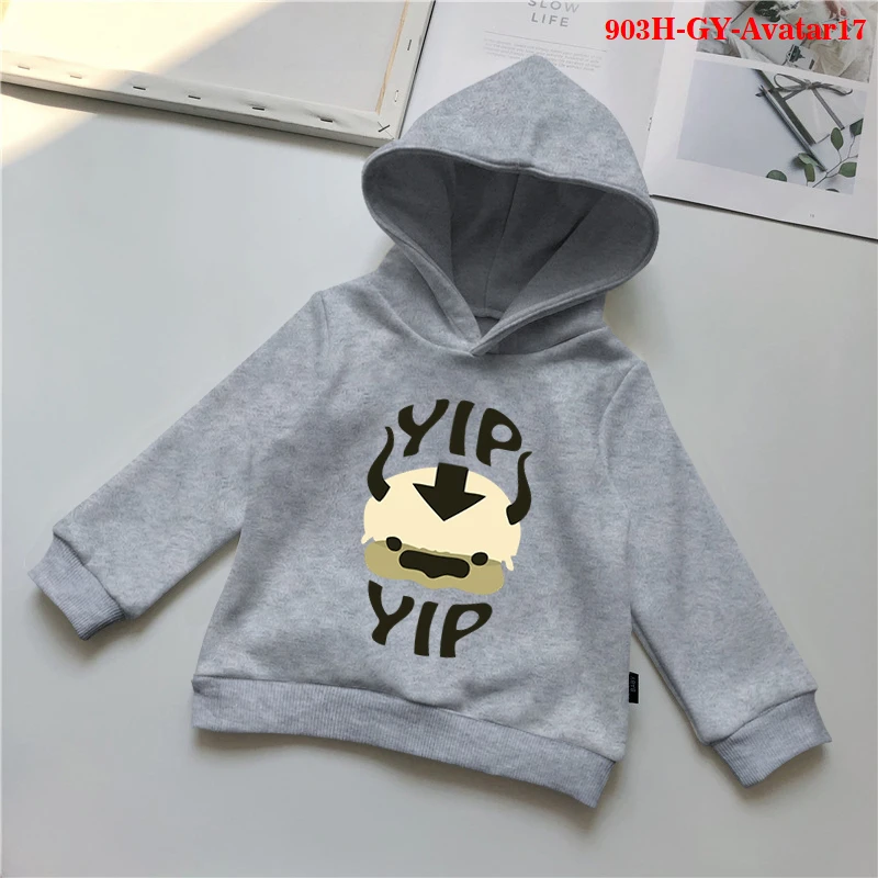 

AThe Last Airbender Yip Children Hoodies Printed Tops Kids Children Casual Girls Boys Clothing The Last Airbender Sweatshirt