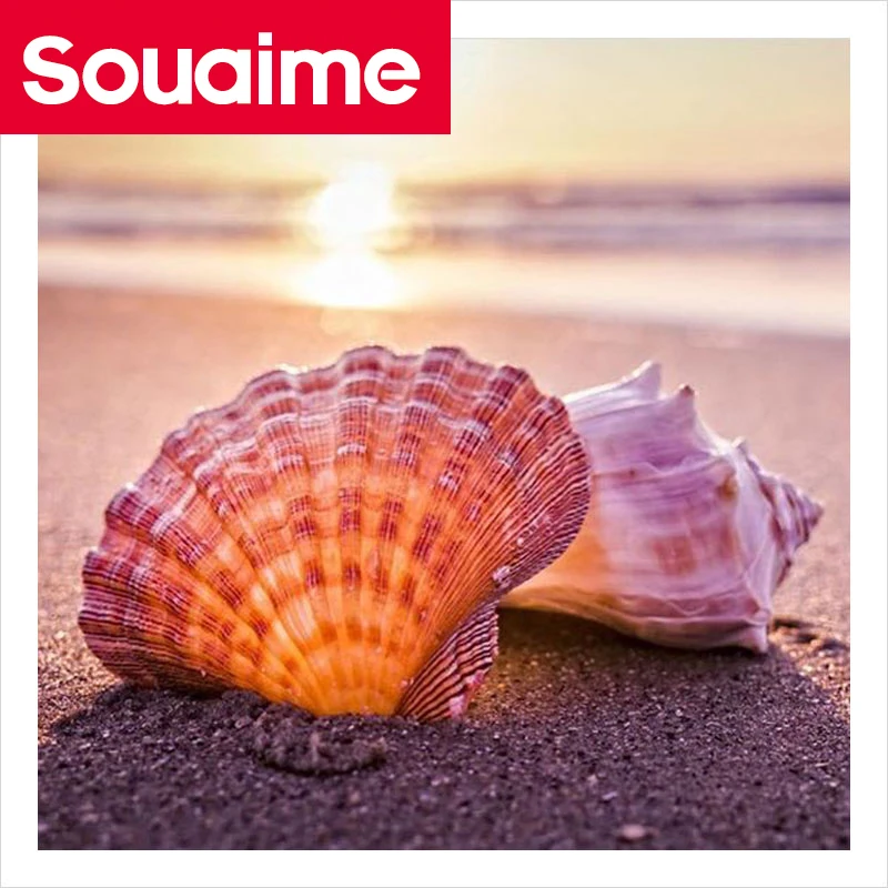 5D DIY Алмазная картина квадратная/круглая с морскими ракушками 3D вышивка