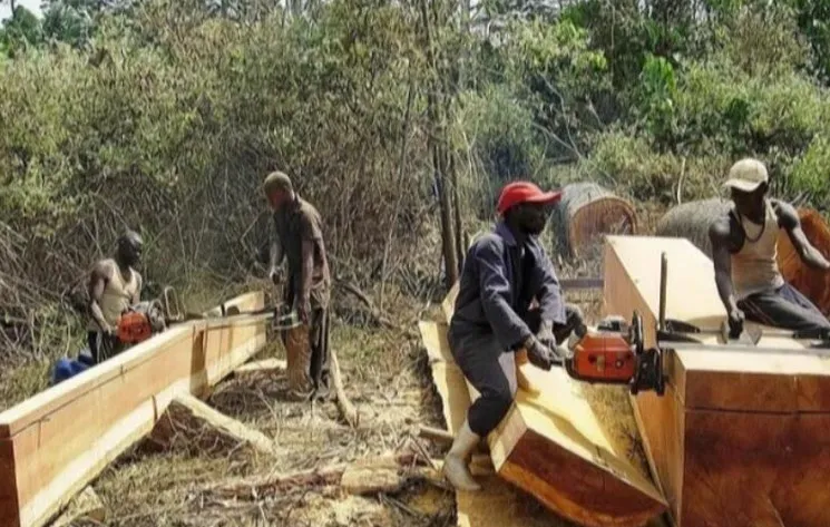 

Portable Adjustable Chainsaw Mill Wood Planer Chainsaw Mill Size 14 "to 24" Guide Plate Wood Cutting Tool