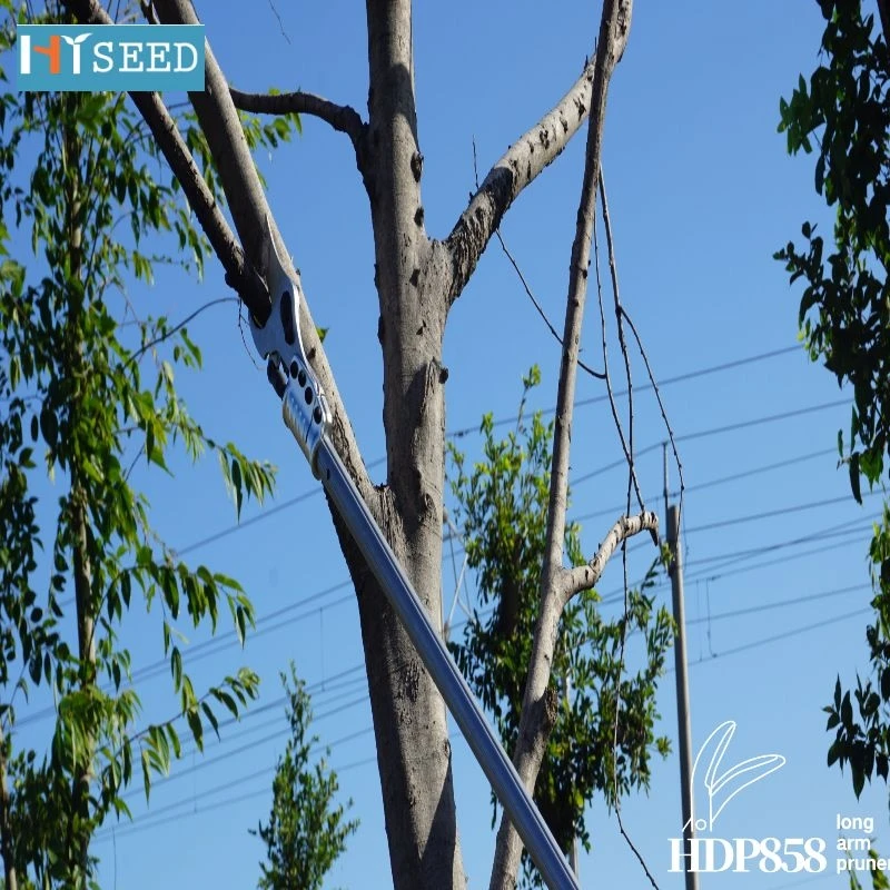 

Japan imported telescopic thick branch shears pruning shears branch garden scissors fruit tree pruning high branches high altitu