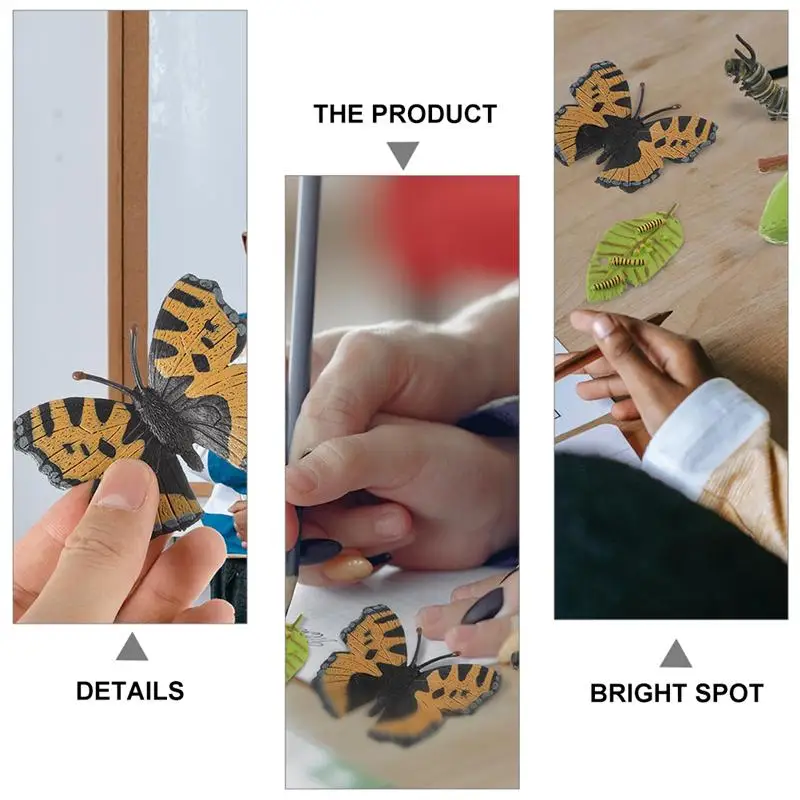 

3 Sets Realistic Insect Growth Models Butterflies Display Cognitive Toys