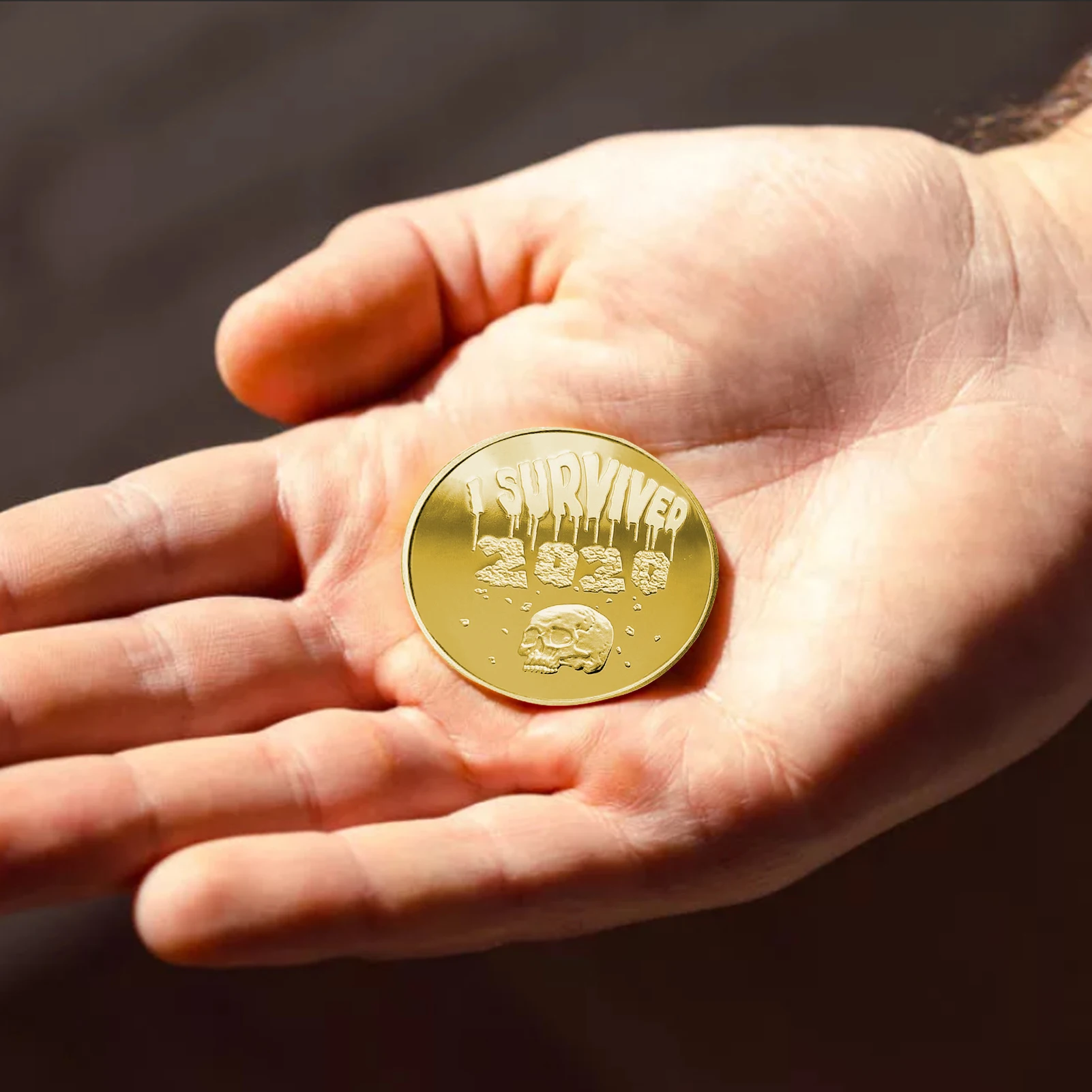 Я пережил 2020 медаль и памятный набор подарок для коллекционеров монет | Дом сад