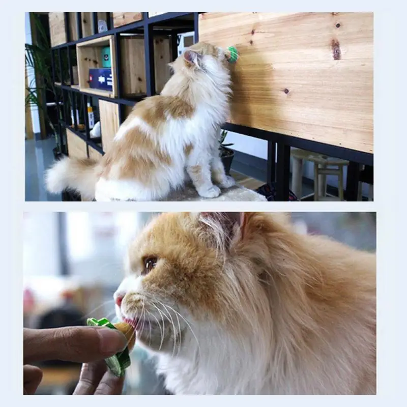 1PC Cat Sugar Ball Natural Catnip Solid Candy Snacks Licking Nutrition Treats Energy Toy Pet Toys Supplies | Дом и сад