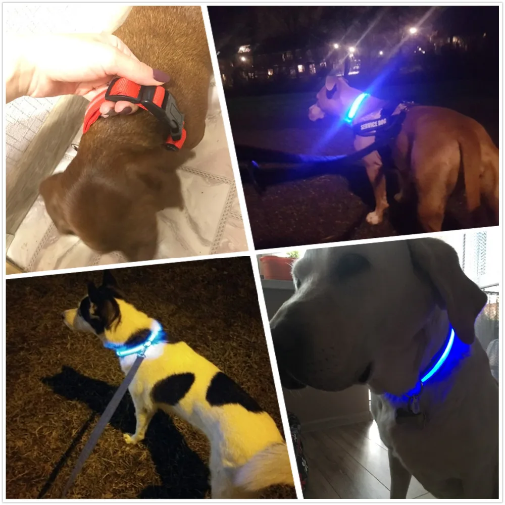 Светодиодный ошейник для собак с защитой от потери/избегания автомобильной