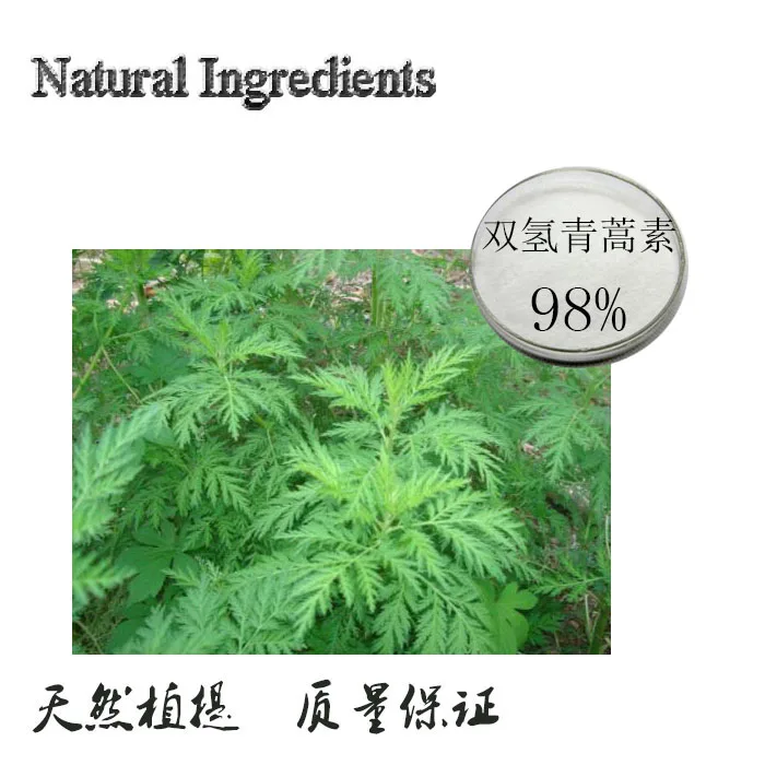 

100g Dihydroartemisinin 98%
