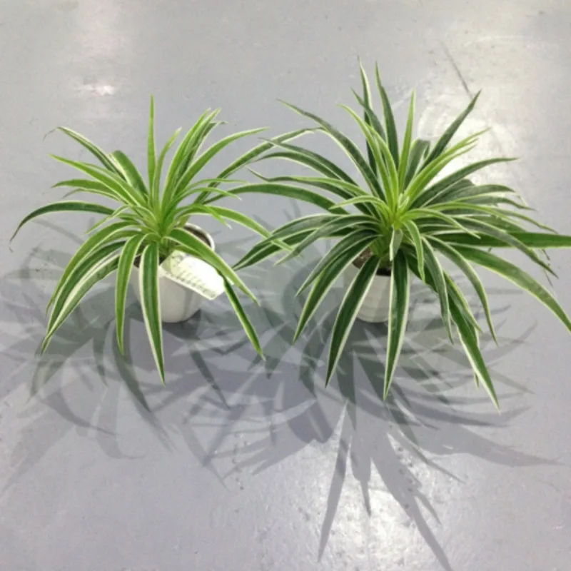 Искусственные пластмассовые растения хлорофитум филиал Дома Декоративные