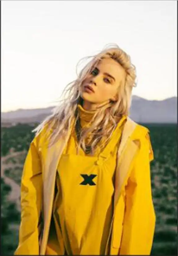 B Полный квадратный/круглый дрель 5D DIY Алмазная картина "Billie Eilish" милая девушка 3D вышивка крестиком 5D домашний Декор подарок WG1604 - Цвет: B