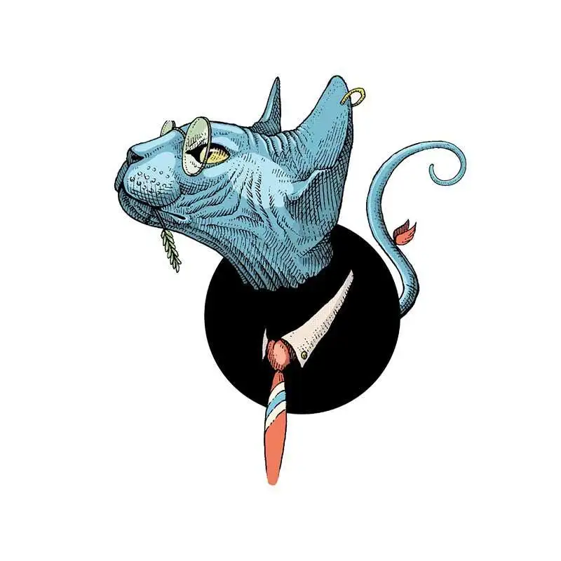 

13cm x 10cm for Sphynx Cat Funny Car Stickers DIY Motorcycle Sticker Anime Decals Waterproof 3D Creative Decal PVC