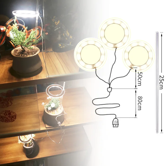 

Plant Grow Light LED Seedling Lamp Full-spectrum Sun-like Indoor Household Flower Strawberry Succulent Phyto Lamp