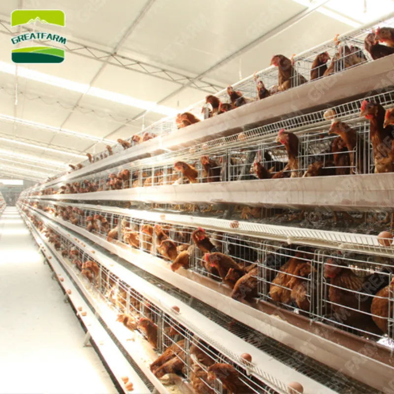10 комплектов складная куриная клетка для птицы 20 лет|Принадлежности кормления и