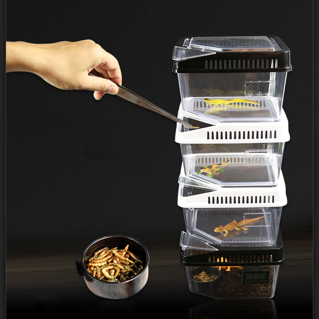 Контейнер для кормления рептилий змеи ящерицы тарантула лягушки|Террариумы| |