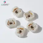 Крышка заднего подшипника автомобиля, 1 шт.