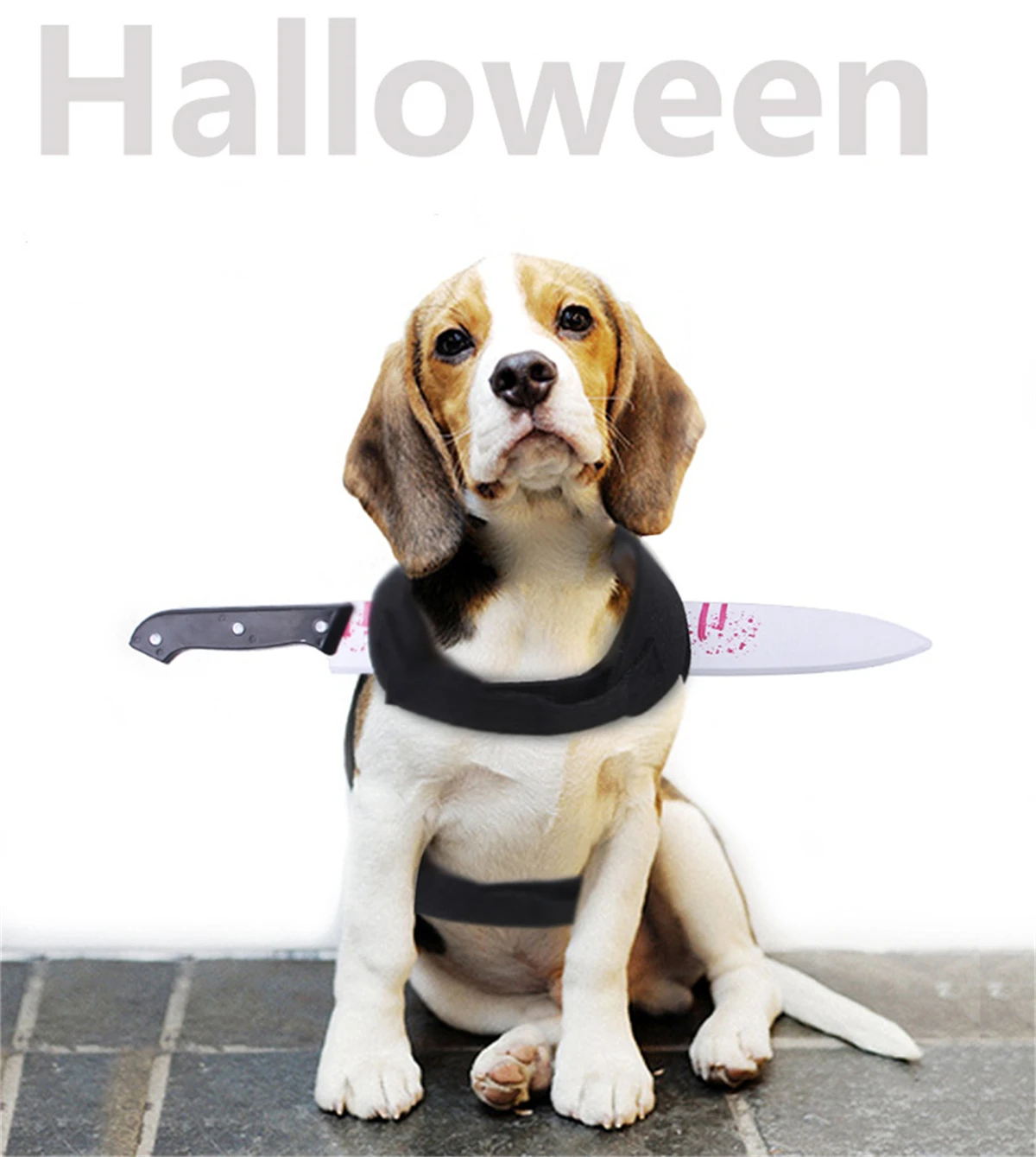 Новинка 2021 одежда для домашних животных на Хэллоуин креативные Смешные кошки