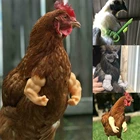 Мускулистый Цыпленок, черные куриные ручки, забавное украшение для тела курицы и кулака, белый Забавный цыпленок аксессуары в виде оружия, кляп