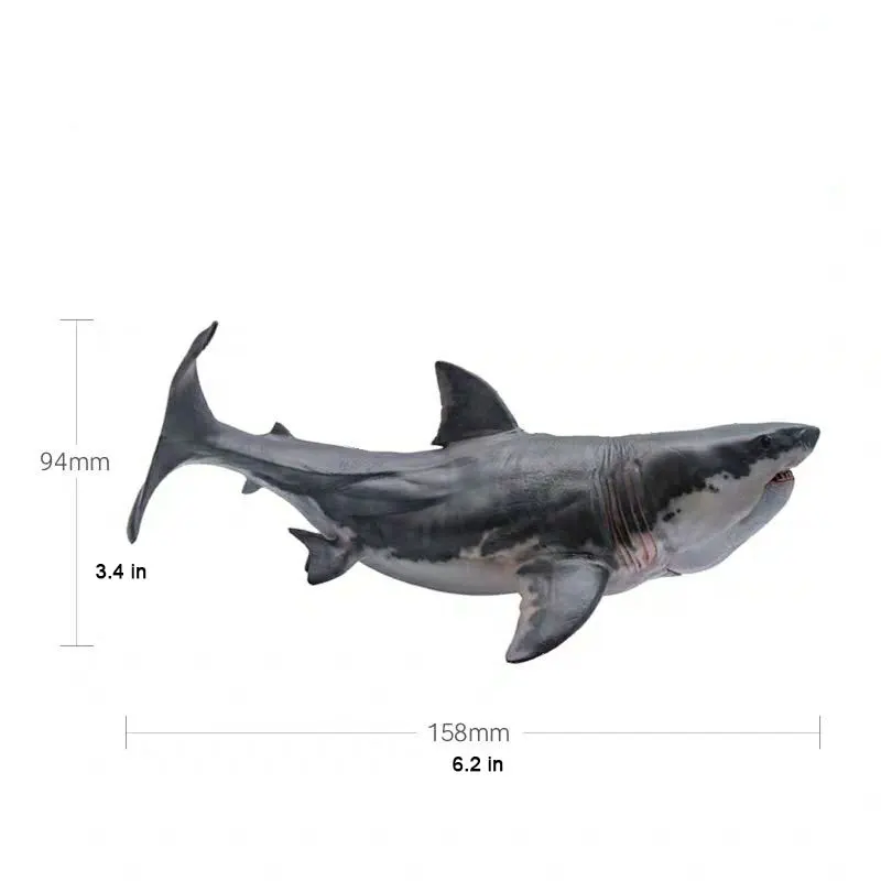 16*10 см моделирование Megalodon Акула океан животных серии статические изысканные