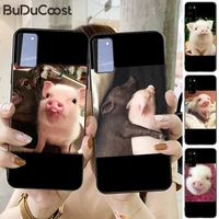 super cute pigs photos phone case for samsung s20 plus ultra s6 s7 edge s8 s9 plus s10 5g lite 2020 s10e