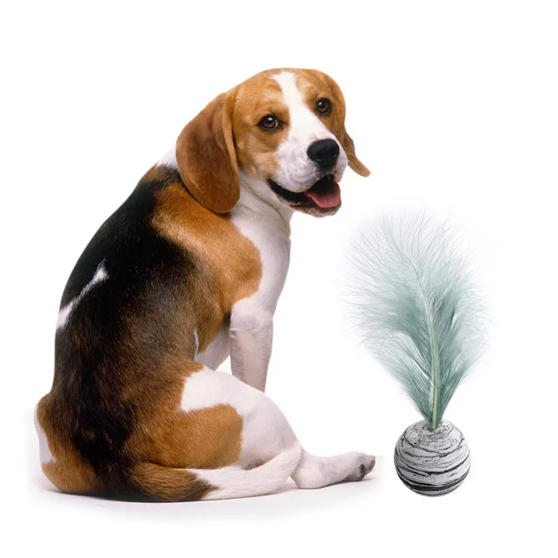 Интерактивные игрушки для домашних животных не скучающие перья Охотничья кошка