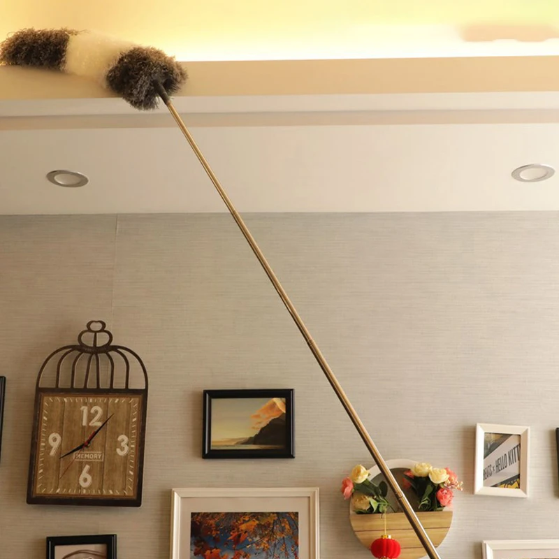 

Выдвижная пылеуловитель микрофибра Выдвижная 100 "гибкая головка из нержавеющей стали полюс для бытовой чистой выдвижной мягкой щетки