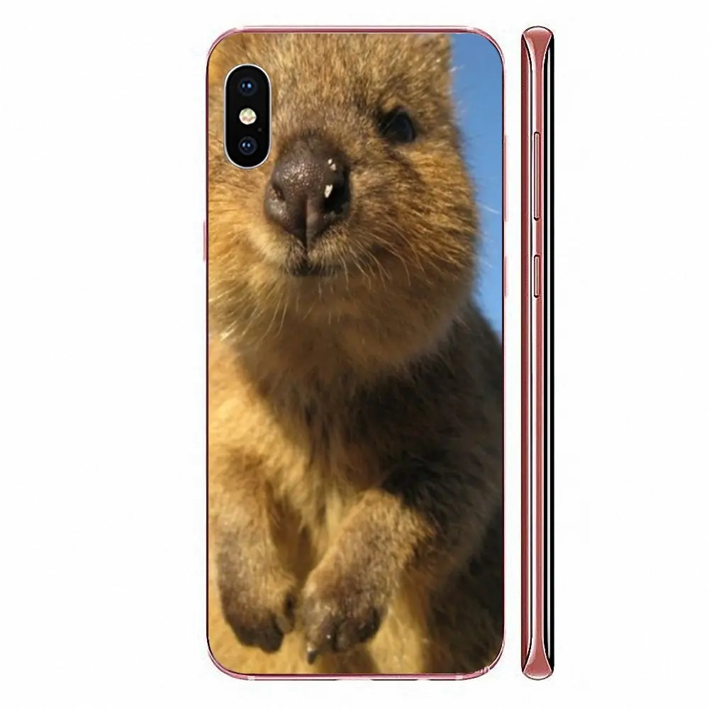 Мягкий чехол для телефона из ТПУ с изображением животных Quokka Xiaomi CC9E Mi3 Mi4 Mi4i Mi5 Mi 5S 6