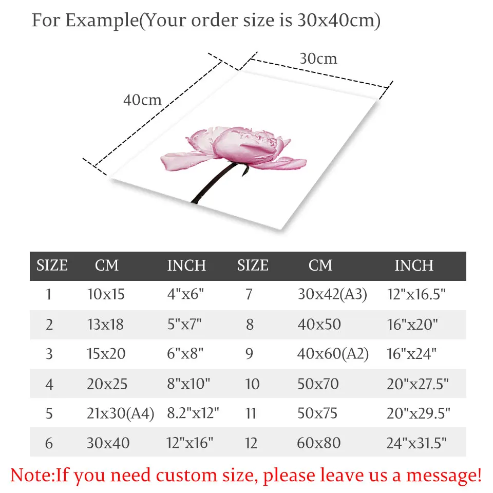Плакат с цветами розовая роза холст картина настенная Орхидея Художественная