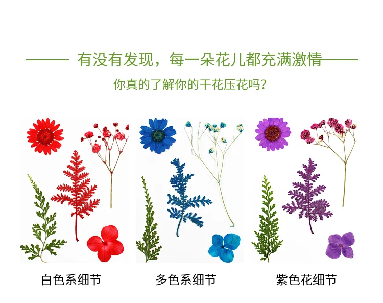 

10Pcs/Set Pressed Flowers Yellow Red Orange Blue Green Real Dried Flowers DIY Resin Mold Fillings UV Epoxy For Jewelry Making