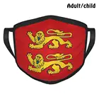 Многоразовая маска для лица с норманским флагом сделай сам, защита от пыли, флаг Нормана, развлечение с флагом Нормандии, Франции