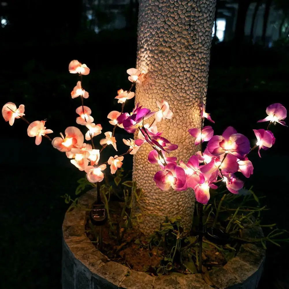 

Solar Phalaenopsis Branch Light 20 LED Carefull Light Decorations Warm Garden Light Light And White B1K1