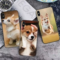 cute animal corgi dog phone case for iphone 13 12 11 mini pro xs max 8 7 6 6s plus x 5s se 2020 xr