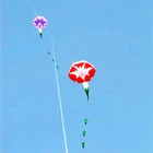 Бесплатная доставка, большие мягкие воздушные змей Morning Glory, нейлоновая ткань, воздушный змей для детей, серая катушка, Шелковый воздушный змей, фольга, светящийся шнур hawk