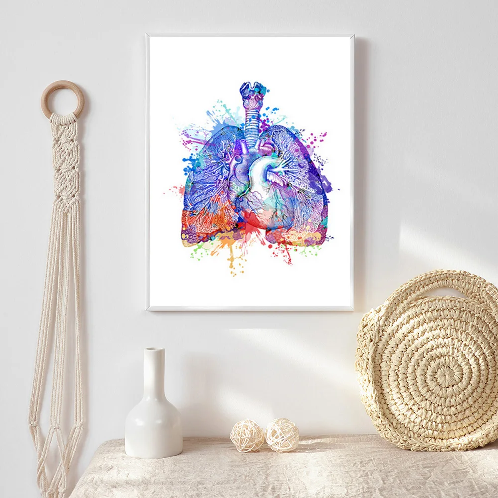 

Colorful Anatomy Brain Heart kidney Breast Wall Art Canvas Painting Nordic Posters And Prints Wall Pictures Doctors Office Decor